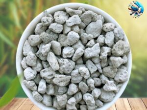 Đá nham thạch- đá lông vũ