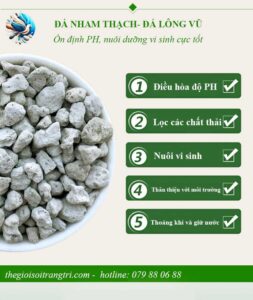 Đá nham thạch- đá lông vũ