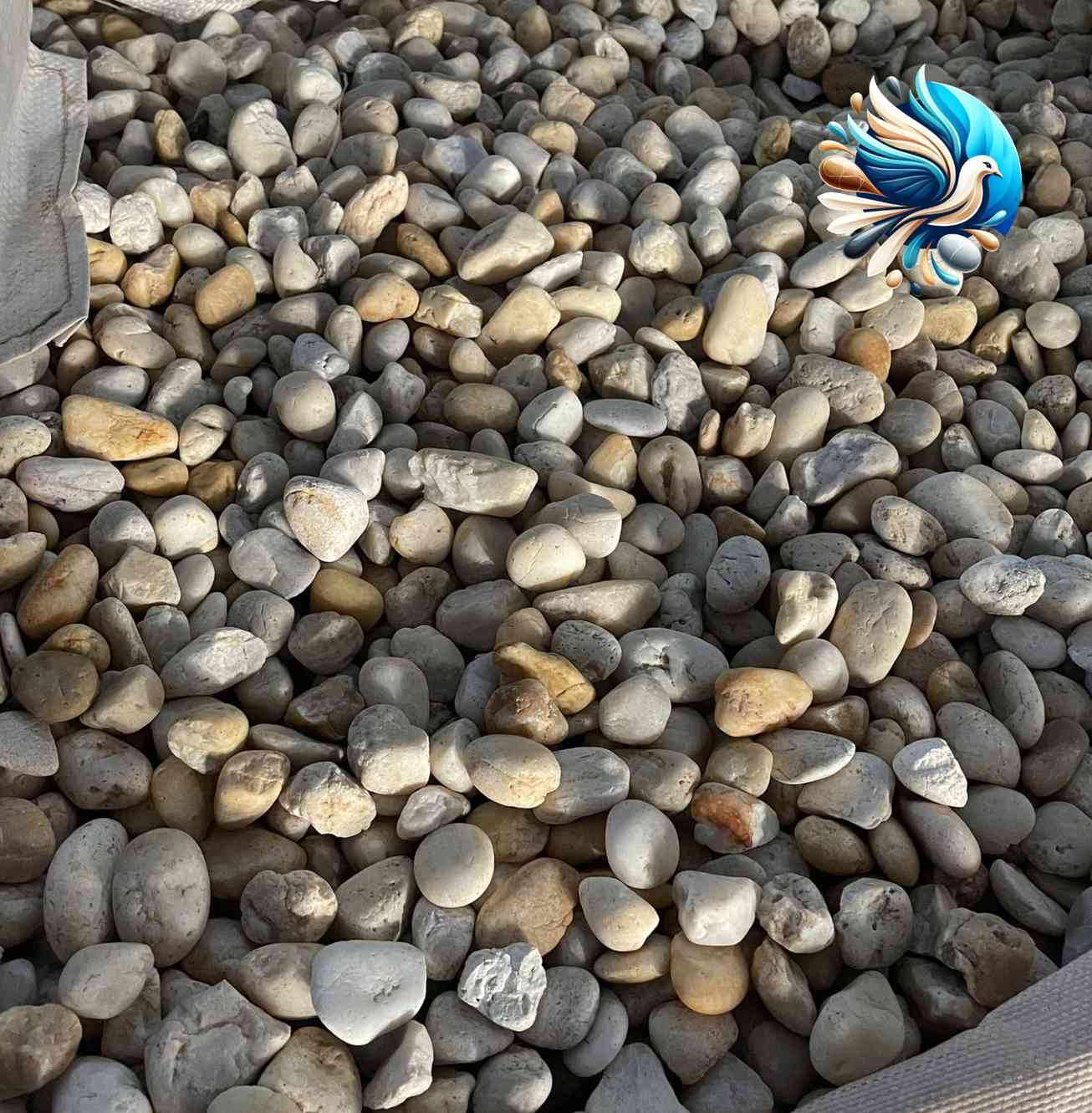Sỏi cuội trắng