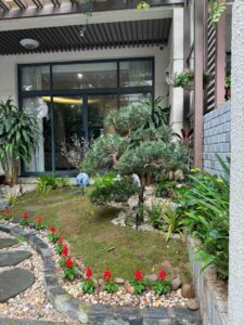 Mẫu trang trí sân vườn đẹp