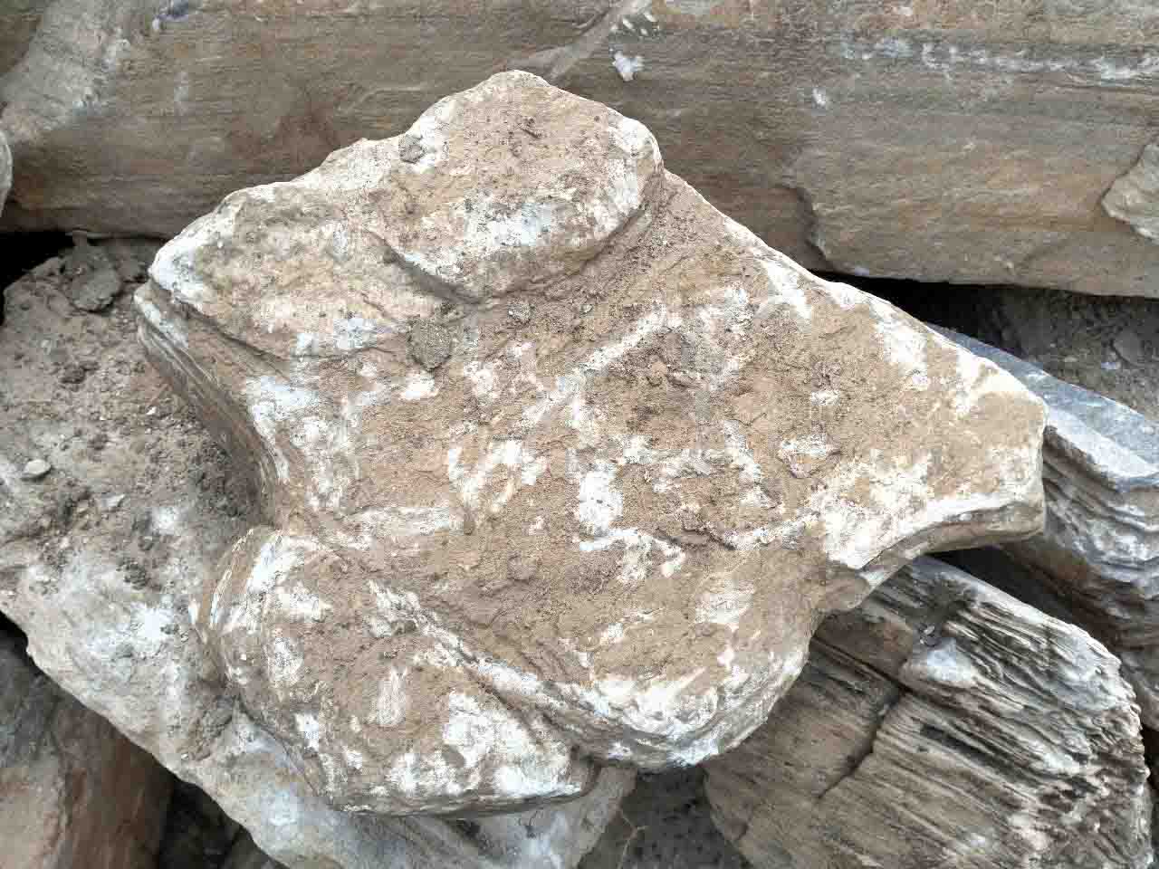 Sỏi Trang Trí Tại Đồng Nai: 5 Gợi Ý Cho Biệt Thự, Nhà Vườn Đá cổ thạch trang trí tiểu cảnh sân vườn