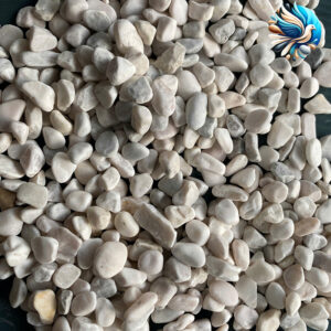 Sỏi trắng sữa quay