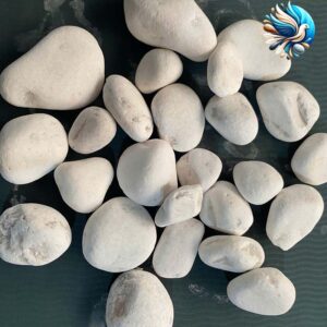 Sỏi trắng sữa quay