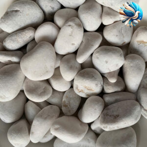 Sỏi trắng sữa quay