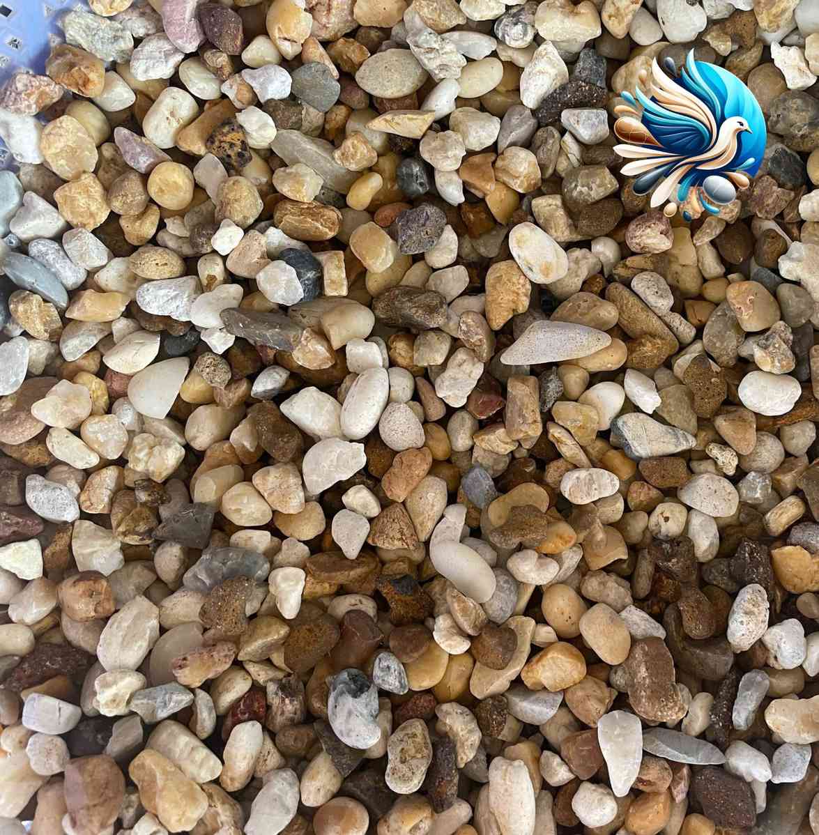 Sỏi sông ba màu Sỏi sông ba màu