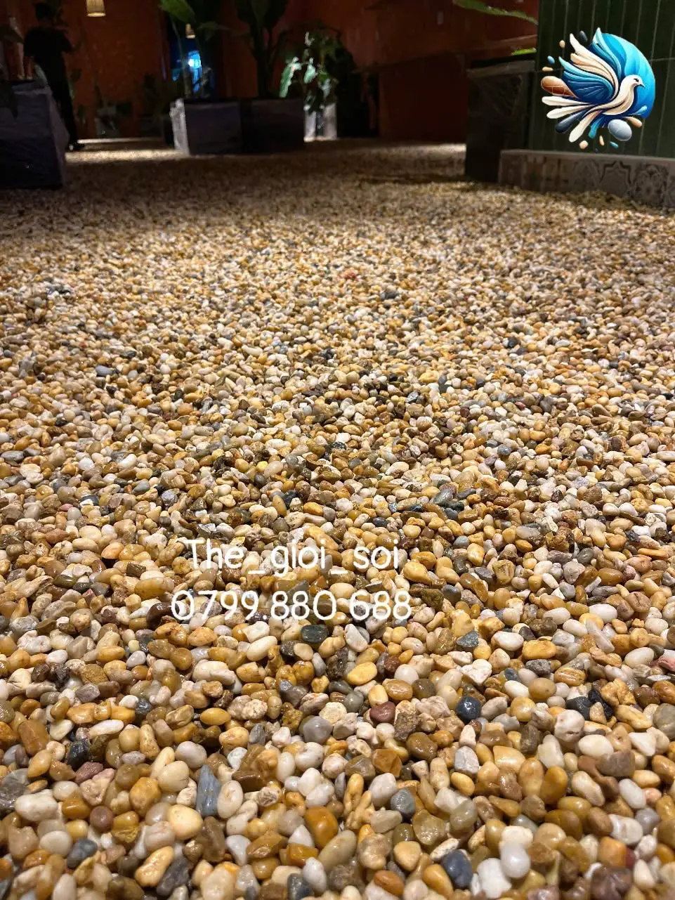 Cận cảnh sỏi sông ba màu Cận cảnh sỏi sông ba màu